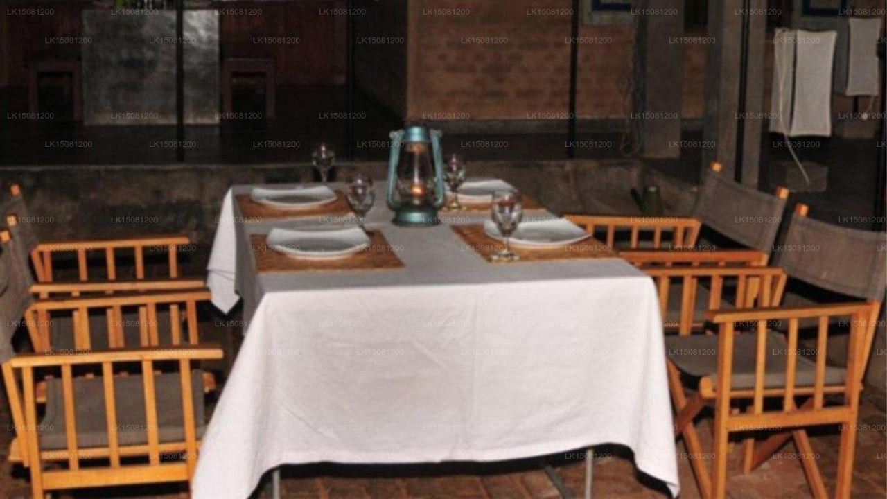 Panthera Lodge, Yala