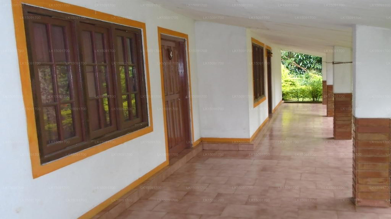 Dell Holiday Home, Bandarawela