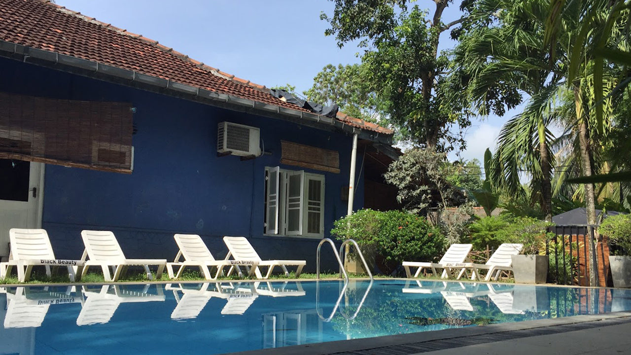 Black Beauty Guesthouse, Unawatuna