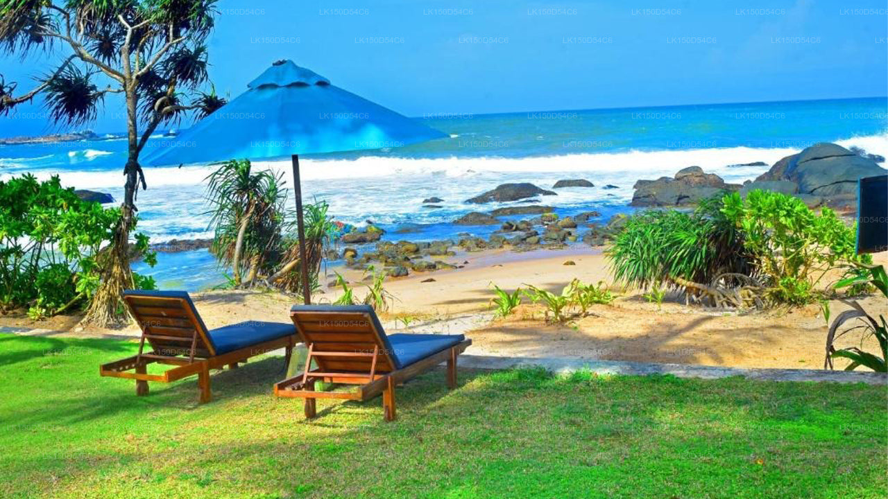 R Degrees Ambalangoda