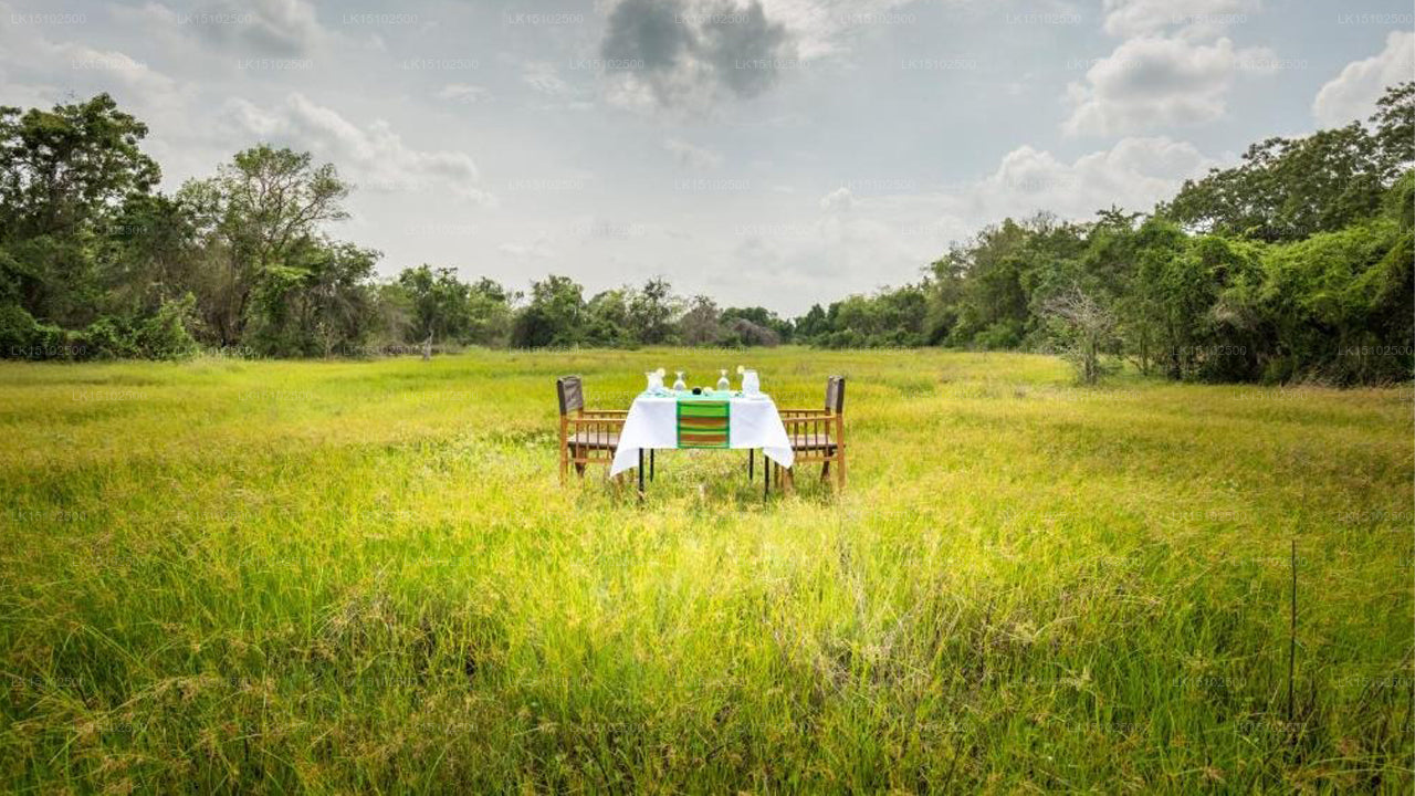 Mahoora Safari Camping, Wilpattu