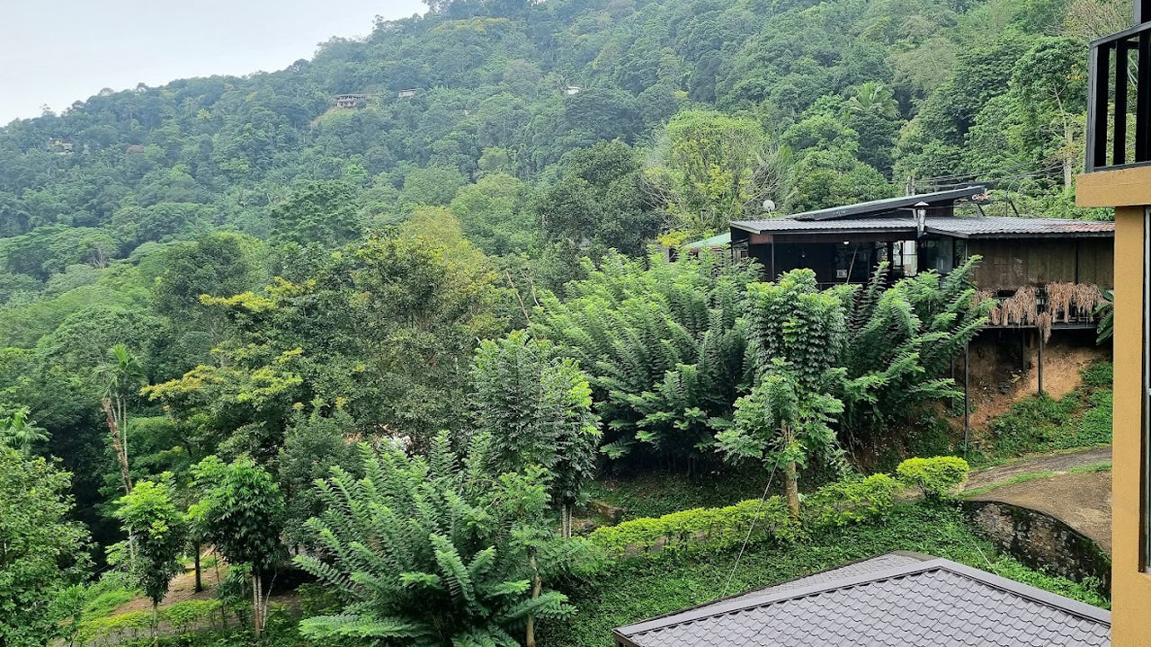 Green Wood Holiday Inn, Badulla