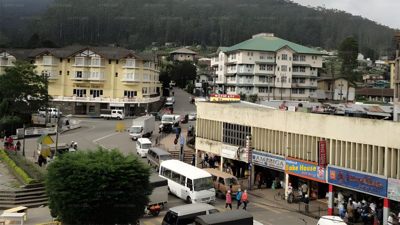 Milano Inn, Nuwara Eliya