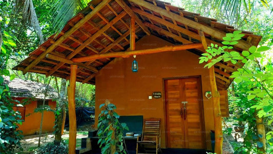 Sandalwood Cottage, Udawalawe