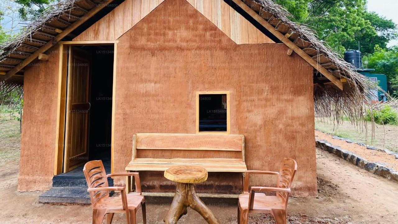 Eco Tree House, Tangalle