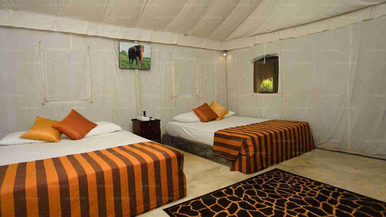 Wild Elephas Lodge,  Udawalawe