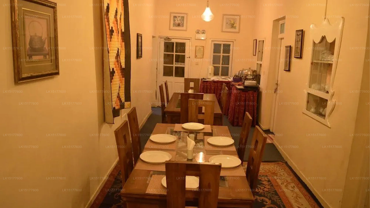 Misty Holiday Nest, Nuwara Eliya