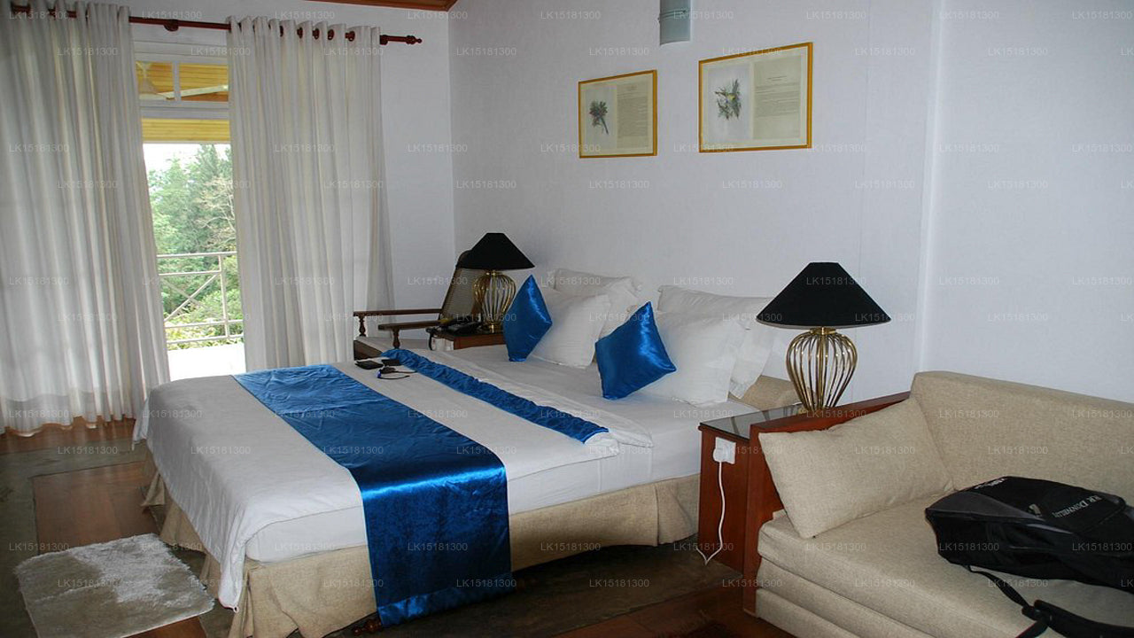 Forest Edge, Kithulgala