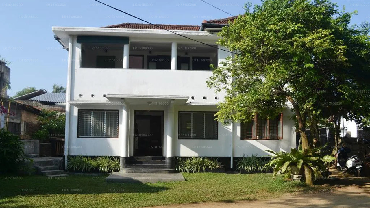 Morning Sun, Ambalangoda