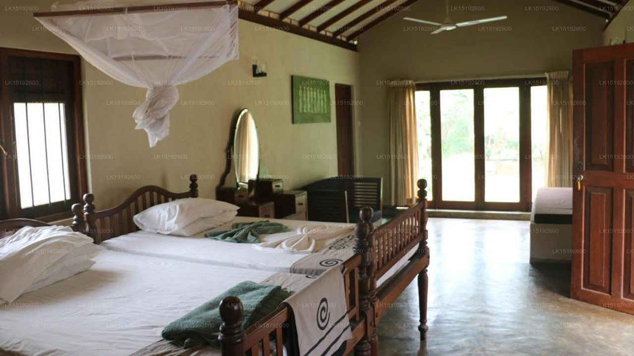 Wild Escape, Buttala