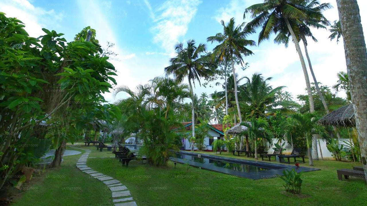 Turtle Eco Beach, Matara