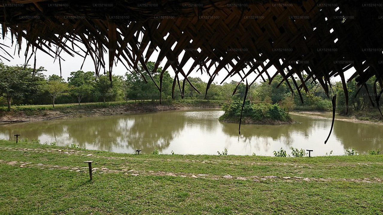 Cadjan earth, Anamaduwa