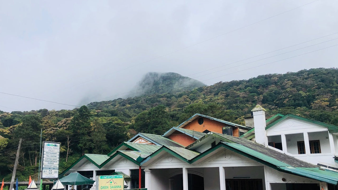 Cool Feel Rest, Nuwara Eliya