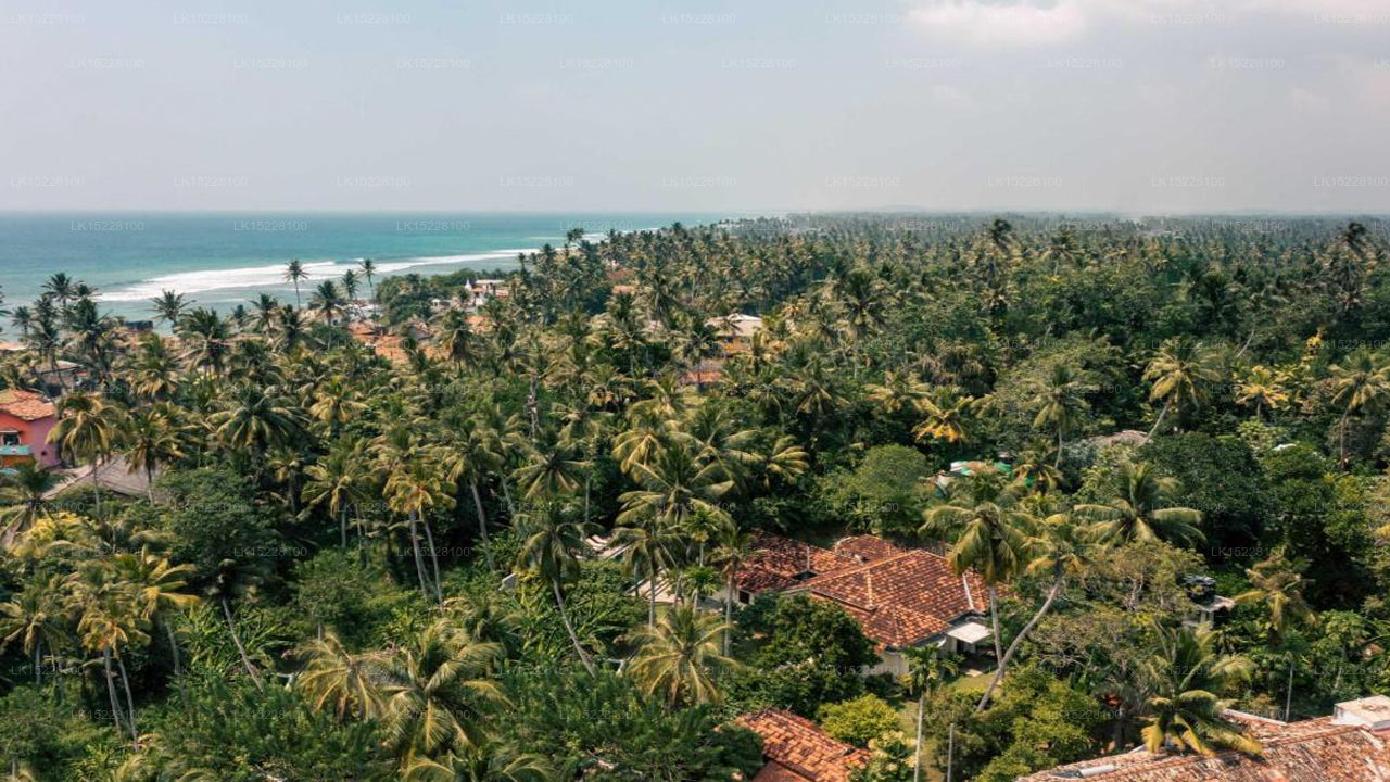 Coconut Grove, Galle