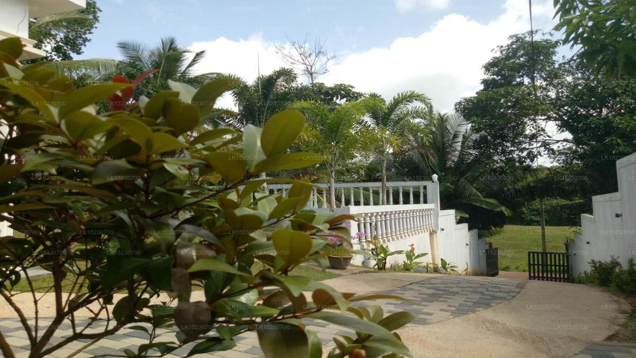 Hill House Rest, Mirissa