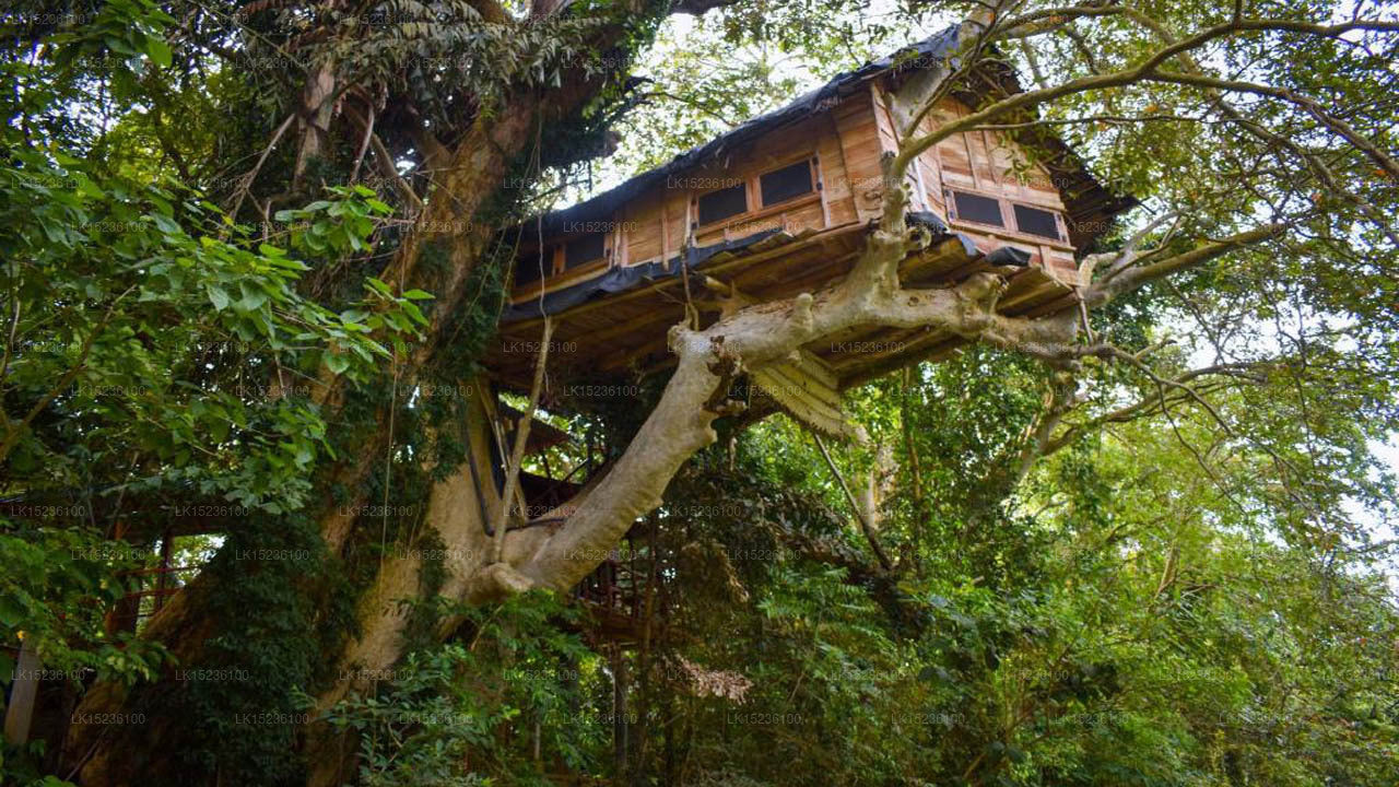 Villa Kumbuk Tree House, Tissamaharama