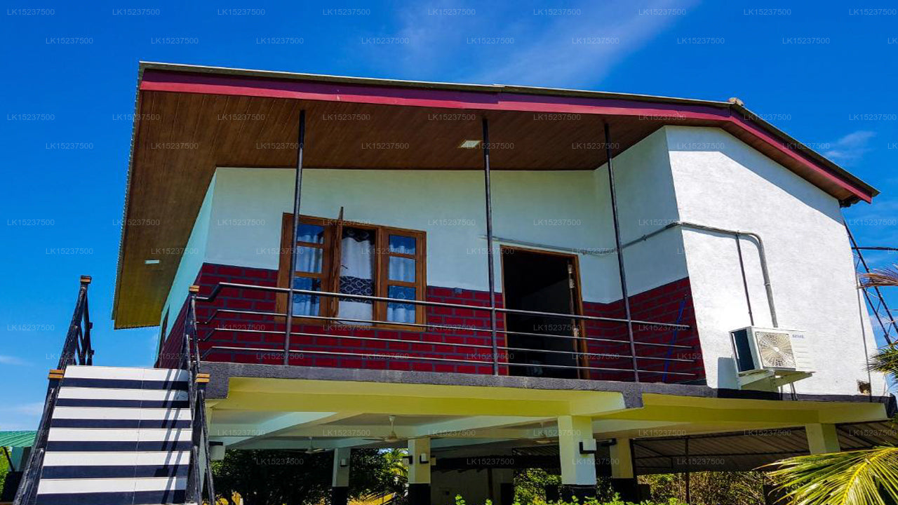 Eco Hotel Black & White, Anuradhapura