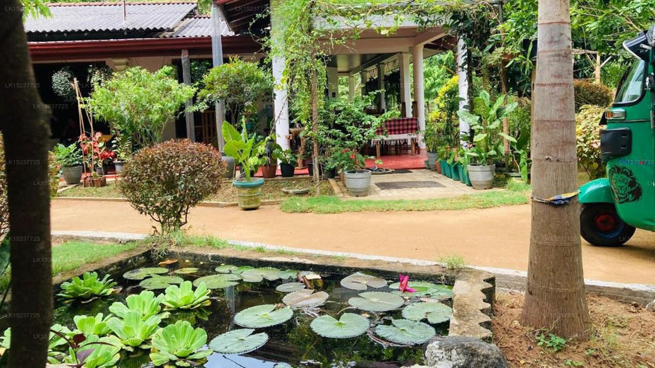 Sigiriya Moonlight Home, Sigiriya