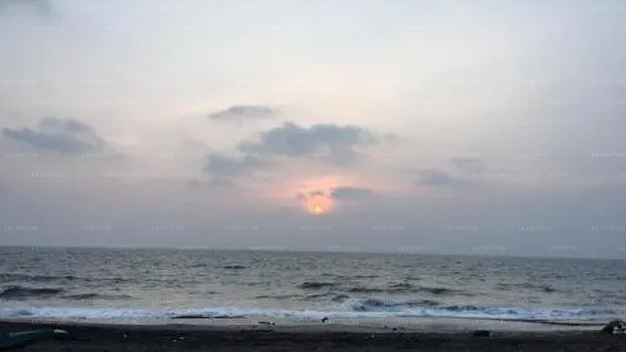 E-Beach Resort, Negombo