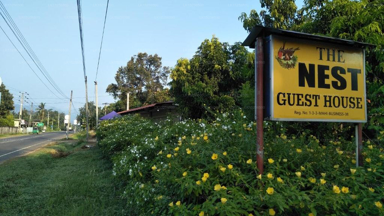 The Nest, Mahiyanganaya