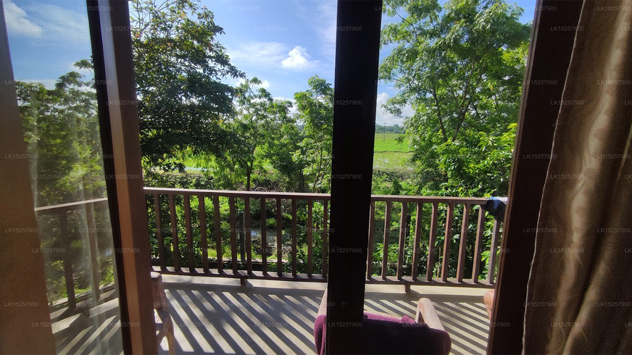 Yala Wana Arana Resort, Kataragama