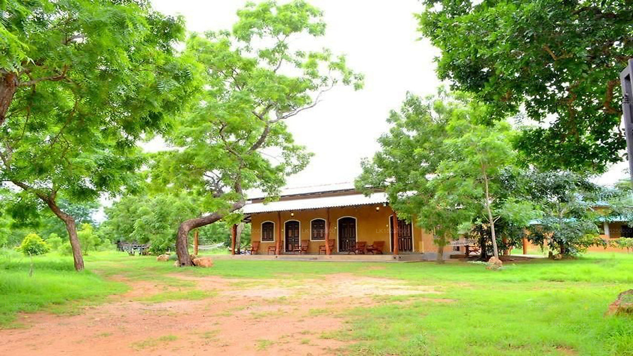 Forest Lodge, Kataragama