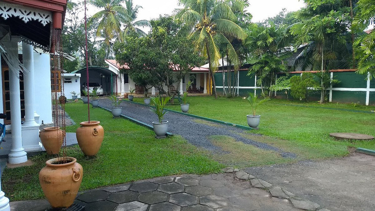 Negombo Village Guest house ,Negombo