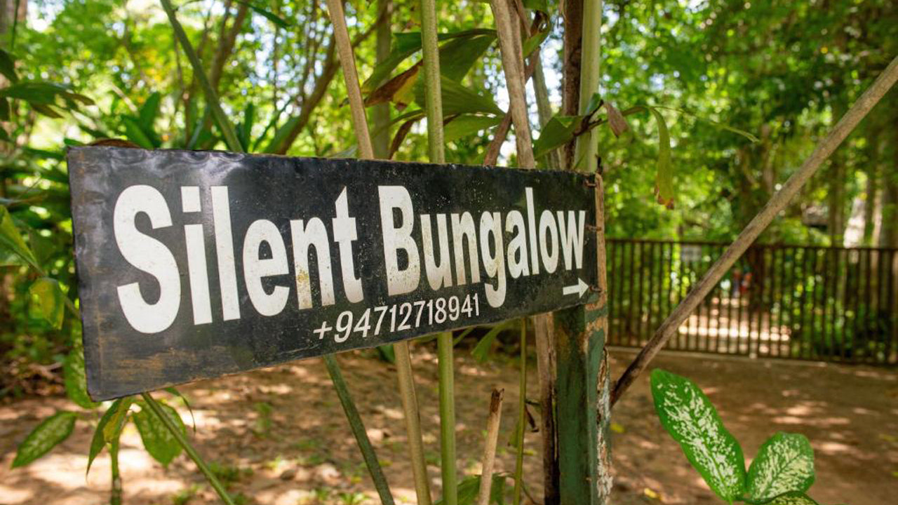 Silent Bungalow