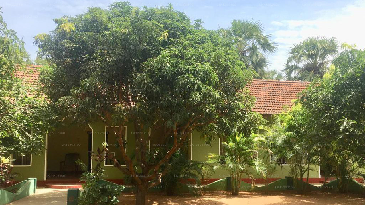 New Land Guest House, Pasikuda