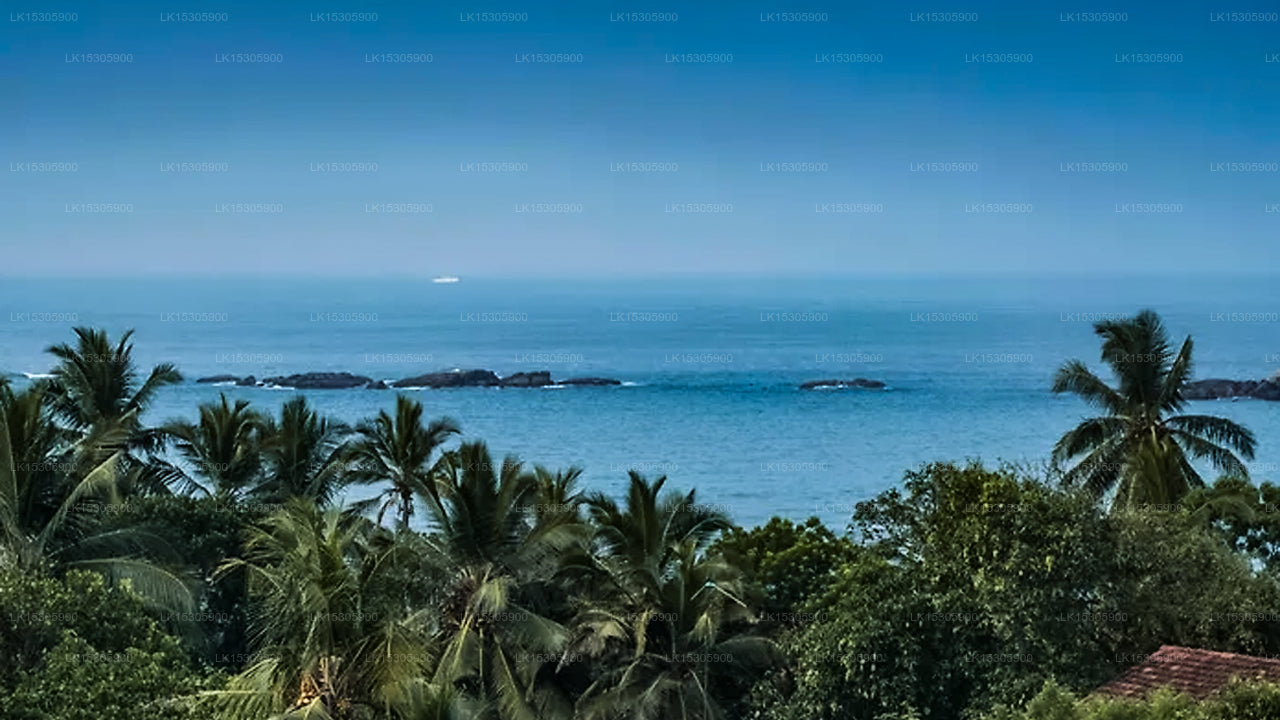 Aasha House, Unawatuna