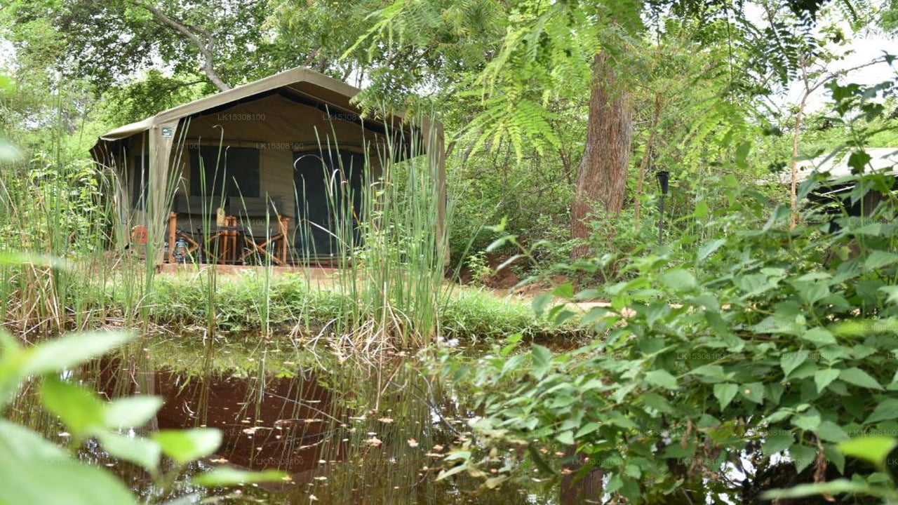 Eco Team Safari Camps, Yala