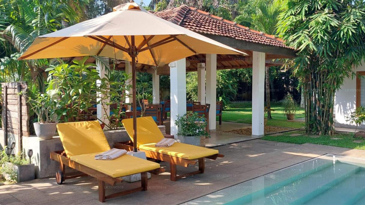 The Secret Guesthouse, Mirissa