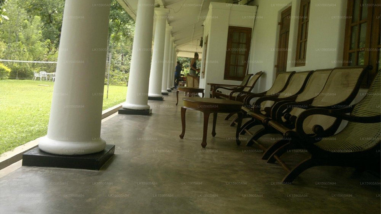 Clunes Villa Real, Dehiowita