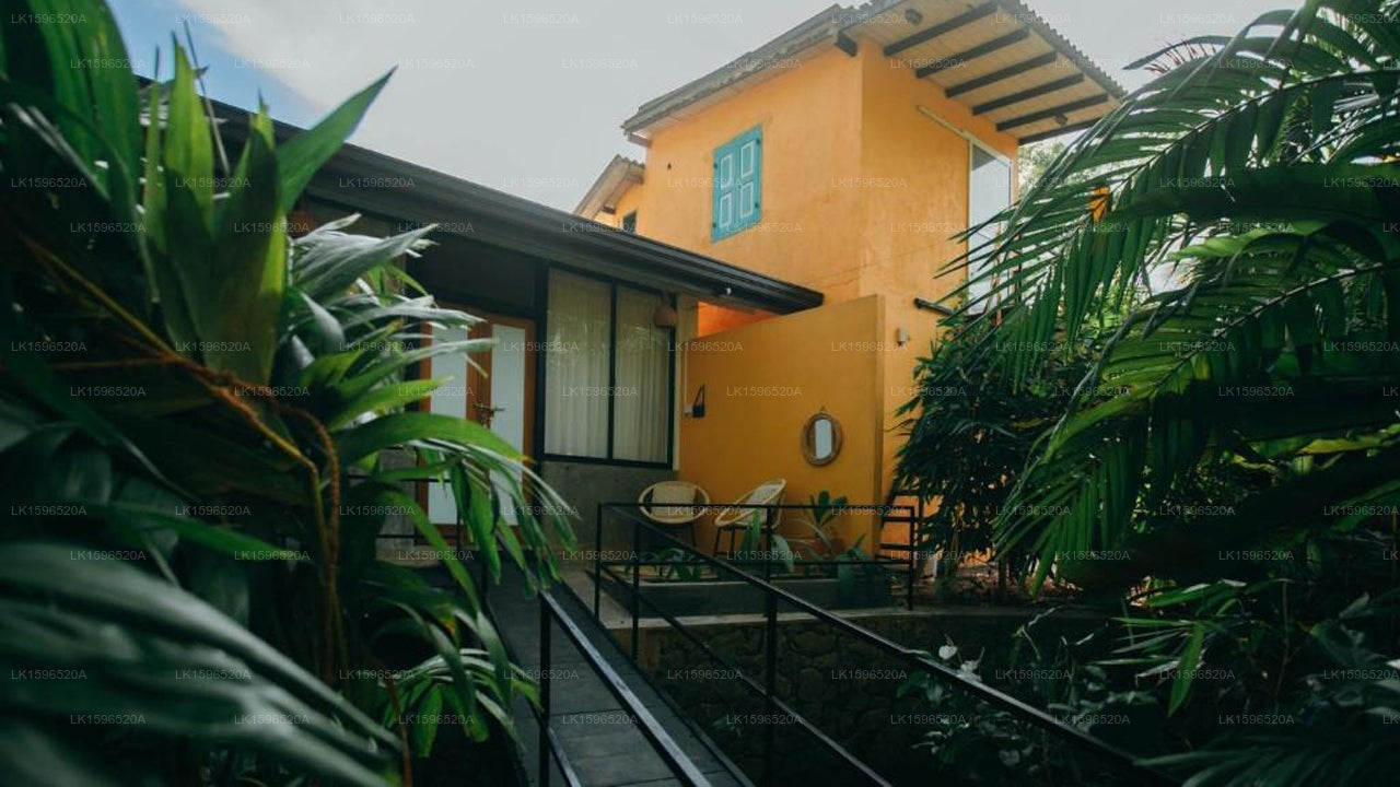 Boho Hiriketiya, Dikwella