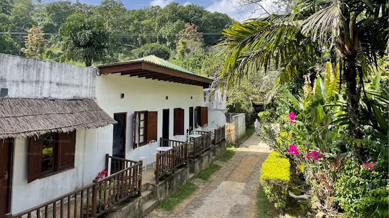 Amba Estate Farmstay, Ella