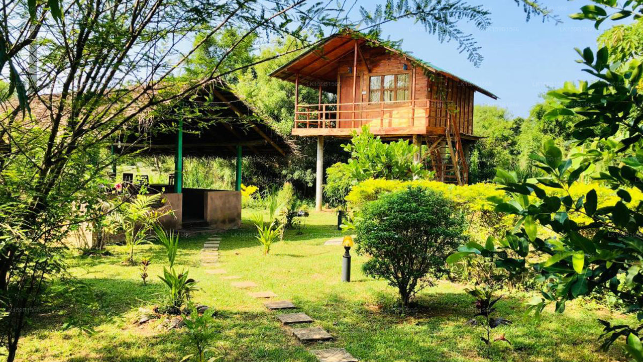 Sungreen Cottage, Sigiriya