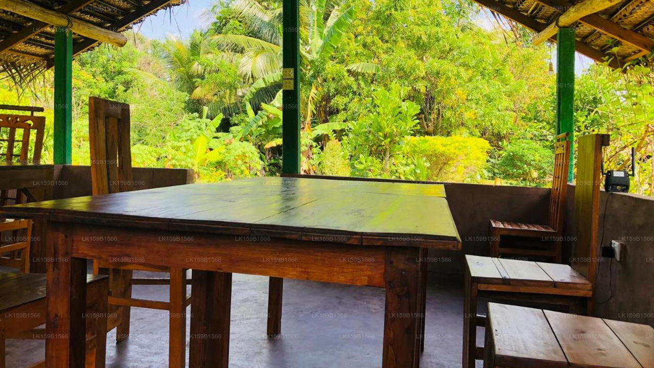 Sungreen Cottage, Sigiriya