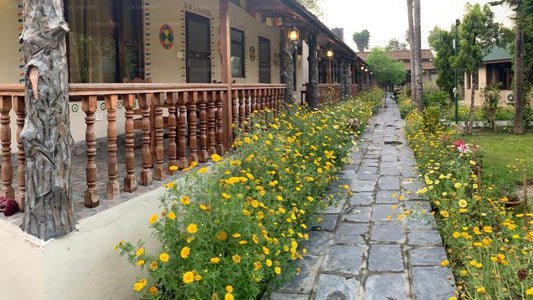 Way to Jungle Safari Resort, Udawalawe