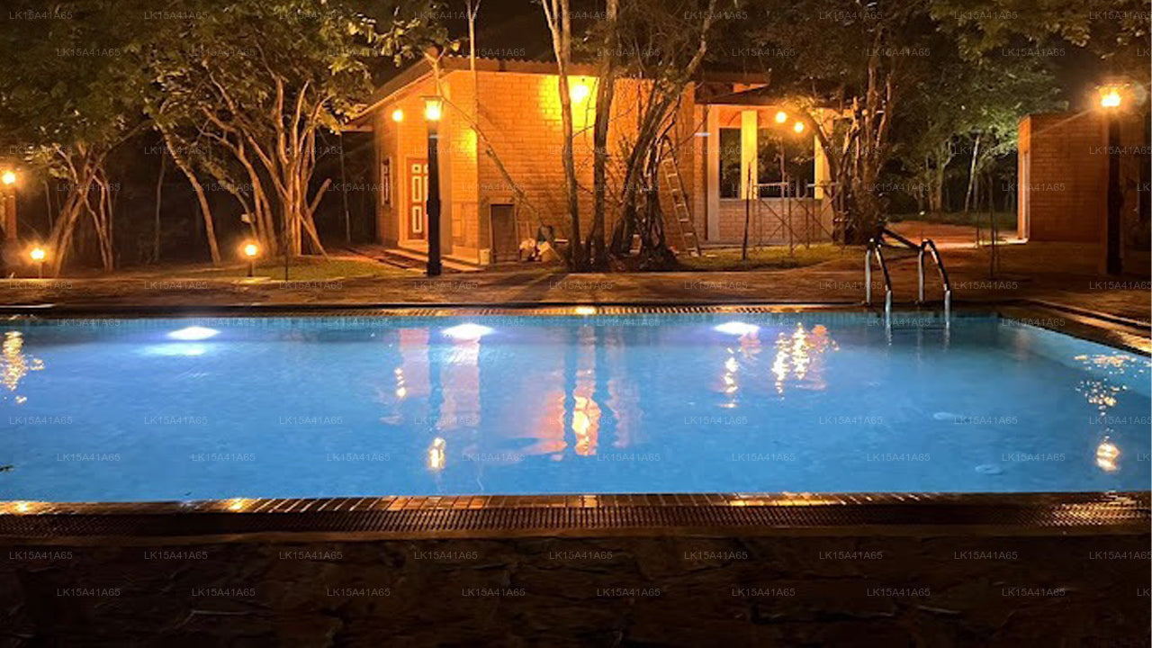 tree trails, sigiriya