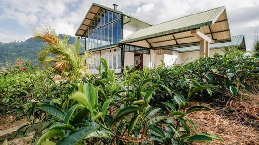 The Farmhouse  Mahaulpatha, Bandarawela