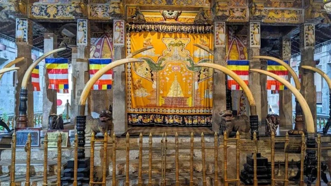 Temple of The Sacred Tooth Relic Guided tour with entrance tickets