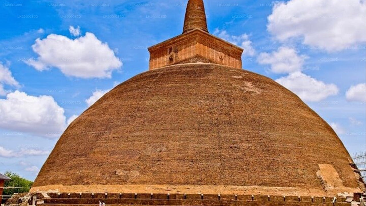 Anuradhapura pühapaiga giidiga ekskursioon sissepääsupiletitega