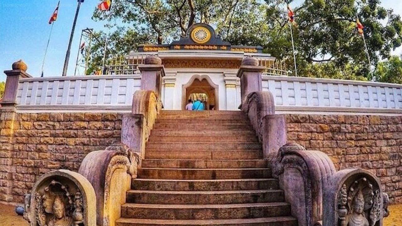 Anuradhapura pühapaiga giidiga ekskursioon sissepääsupiletitega
