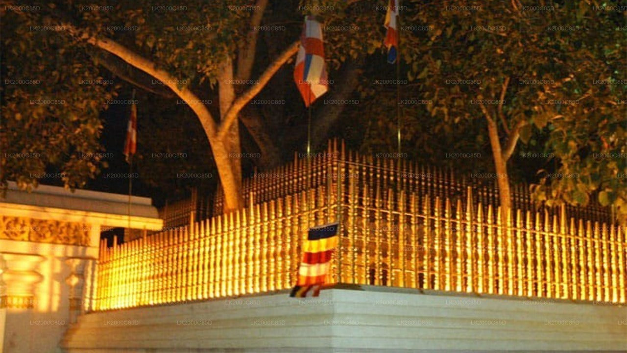 Anuradhapura pühapaiga giidiga ekskursioon sissepääsupiletitega