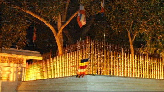 Anuradhapura pühapaiga giidiga ekskursioon sissepääsupiletitega