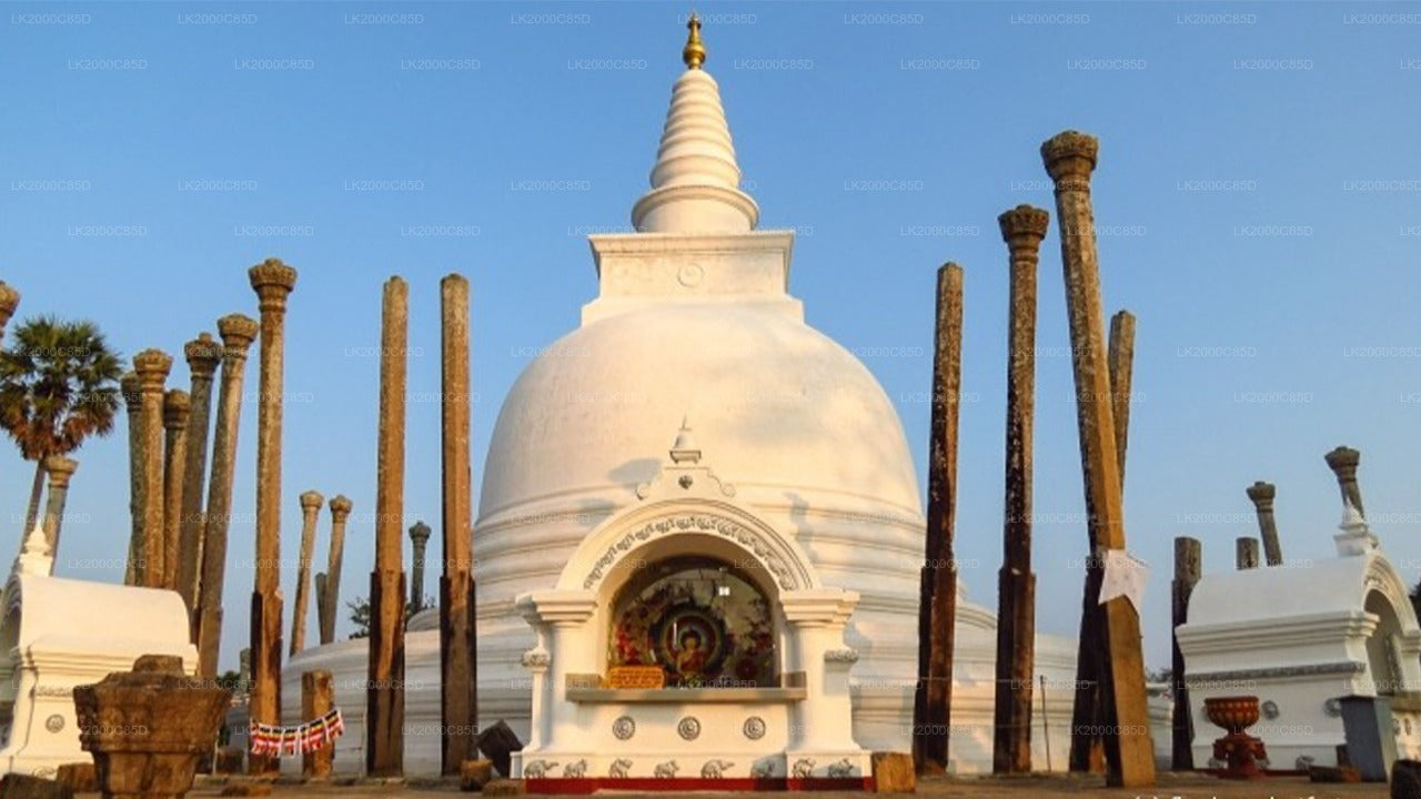 Anuradhapura pühapaiga giidiga ekskursioon sissepääsupiletitega