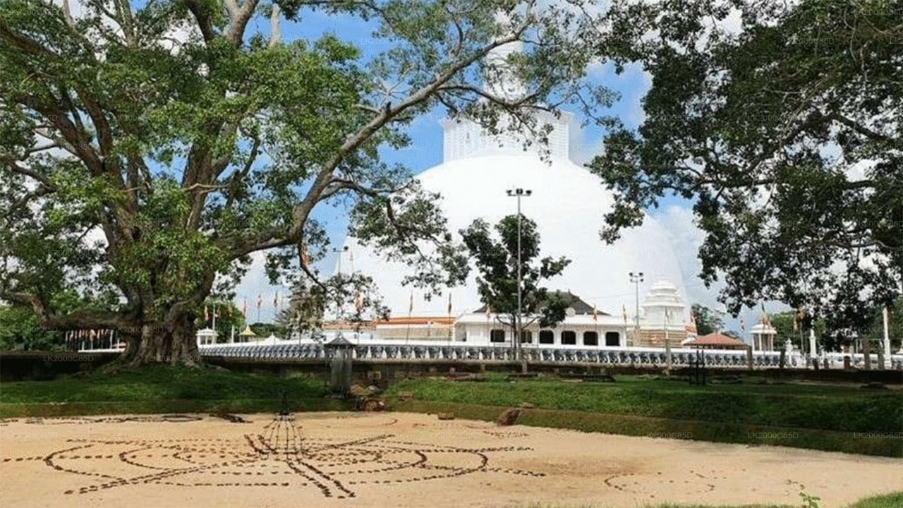 Anuradhapura pühapaiga giidiga ekskursioon sissepääsupiletitega
