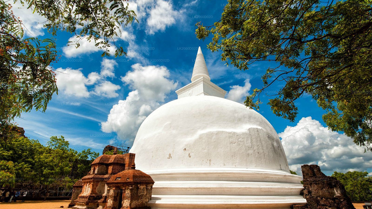 Polonnaruwa iidse linna giidiga ekskursioon sissepääsupiletitega