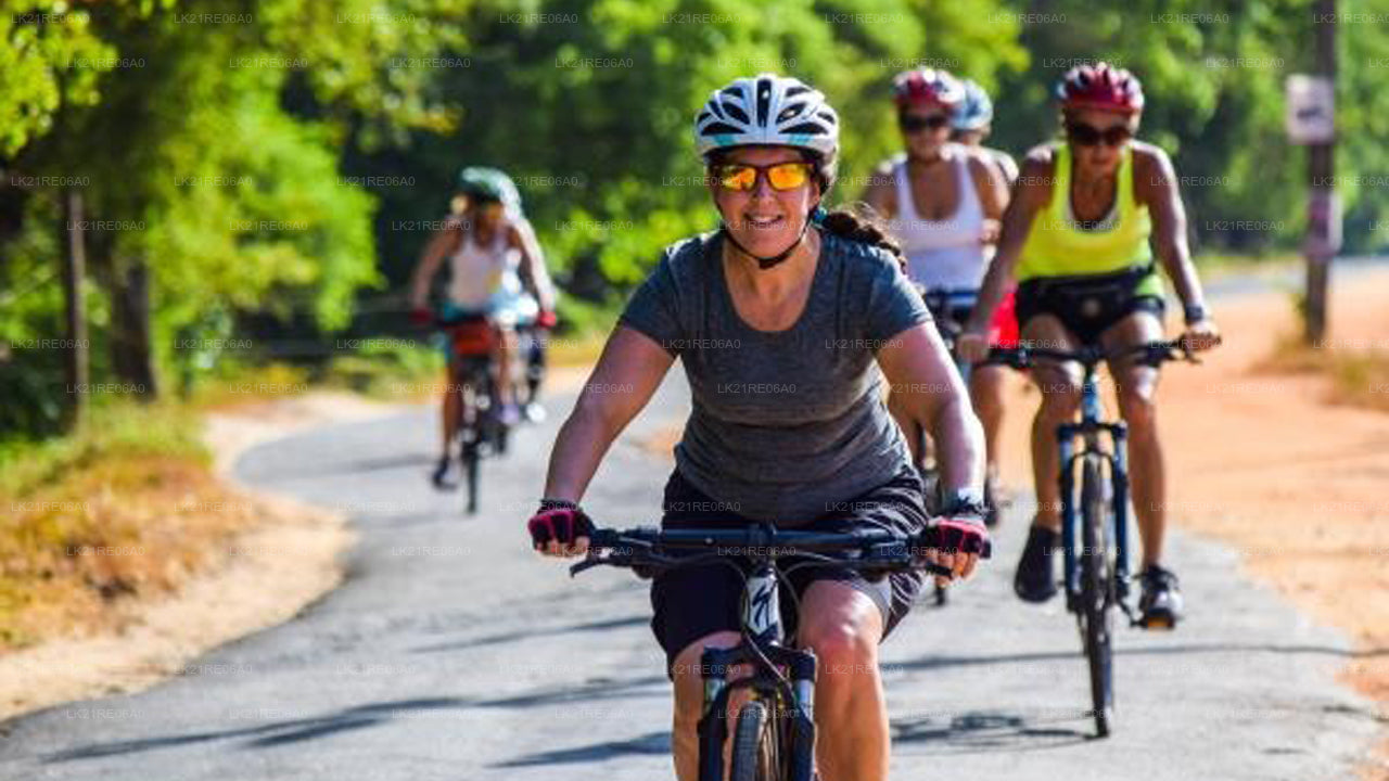 Jalgrattarent Galle'ist