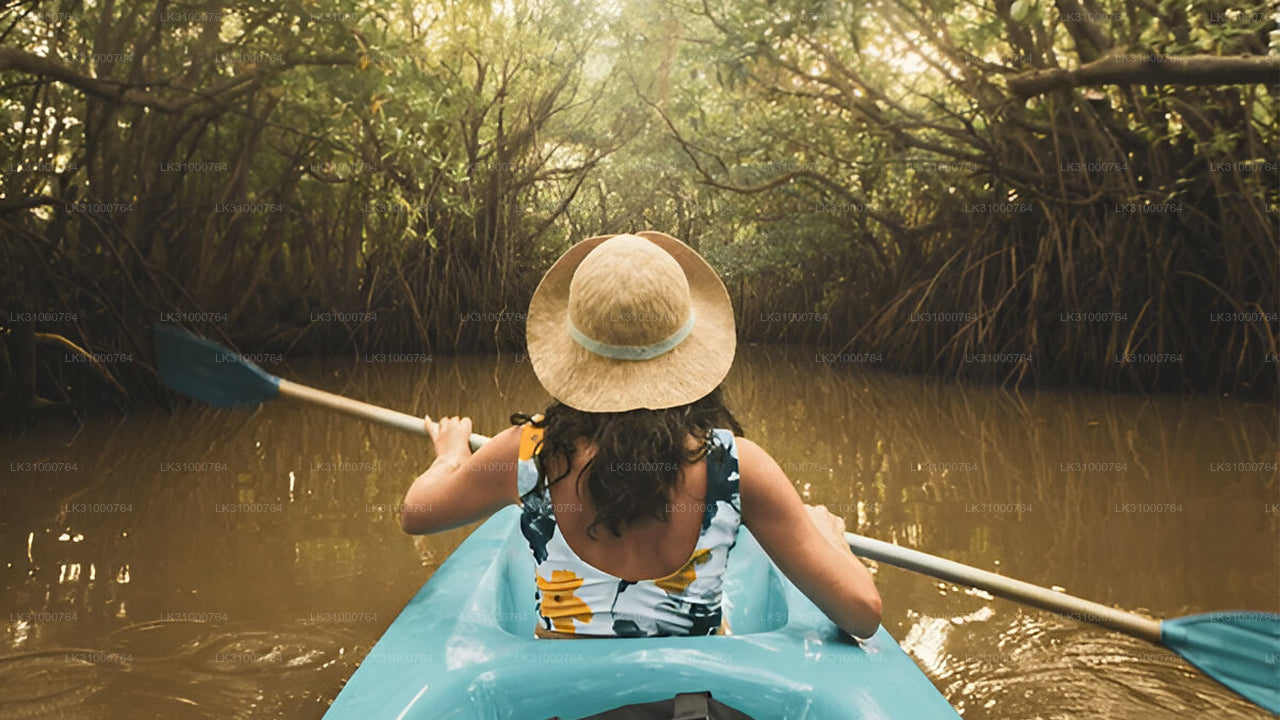 Person paddling a kayak through a mangrove forest